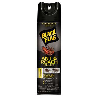 Ant and Roach Spray