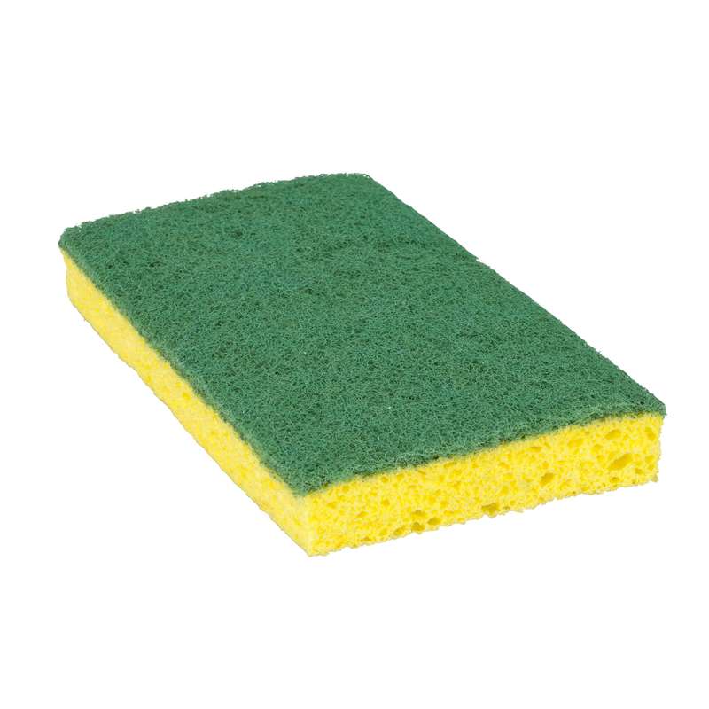 Sponges Scrub